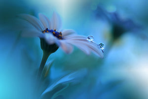 acrylic-print-beyond-the-visible