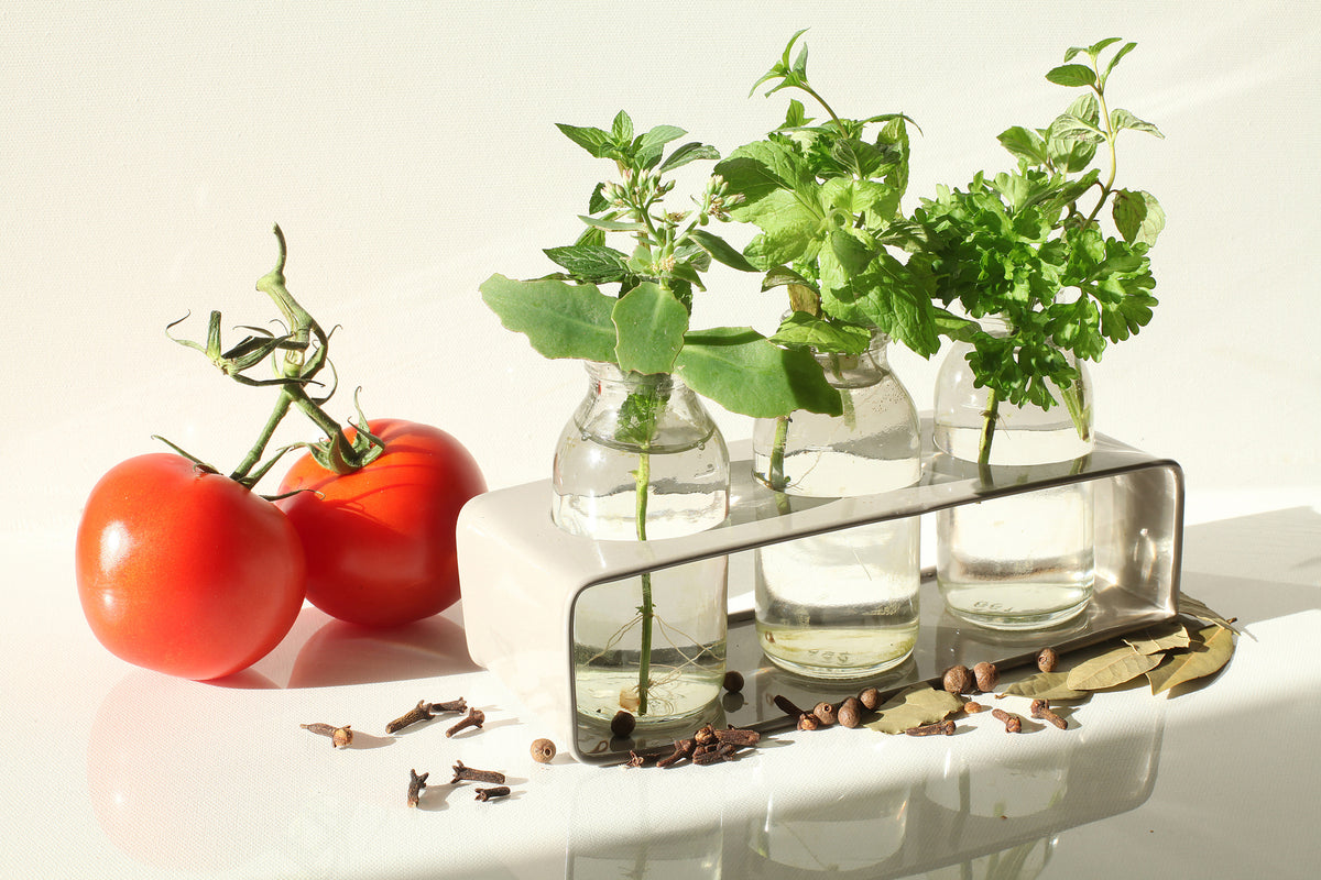 acrylic-print-tomatoes-and-herbs