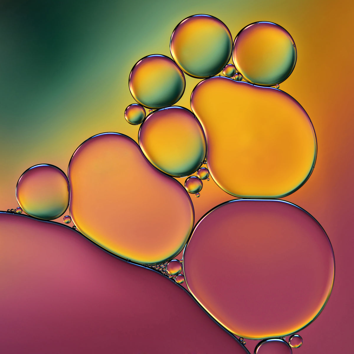 9-piece-aluminium-print-acrobats