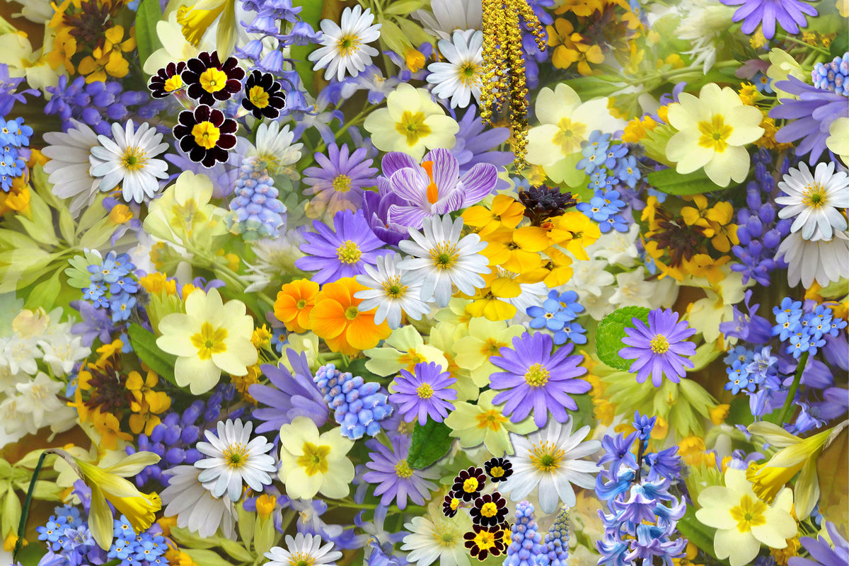 framedcanvas-print-fresh-spring-flowers