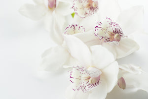 3-piece-acrylic-print-fantastic-orchids
