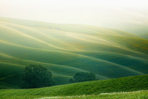 3-piece-acrylic-print-tuscany