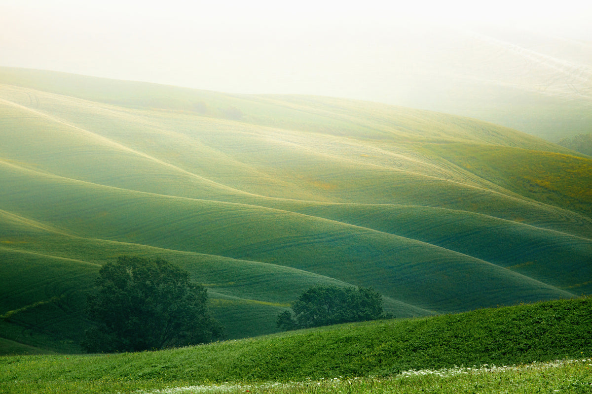 3-piece-acrylic-print-tuscany