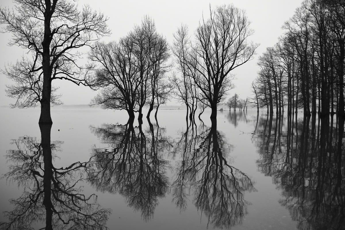 framedposter-print-flood-x