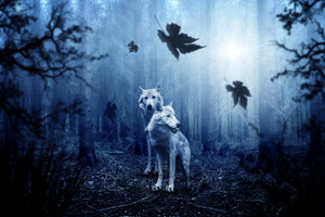 aluminium-print-wolf39s-couple