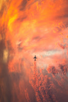 aluminium-print-airplane