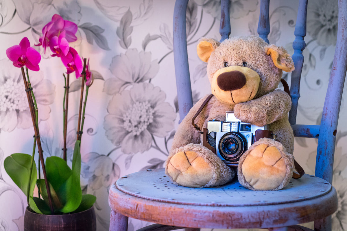 acrylic-print-camera-teddy-bear