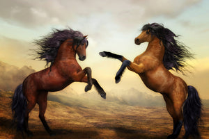 framedcanvas-print-two-wild-horses