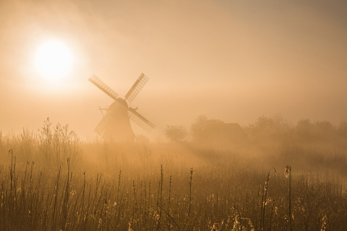 framedposter-print-golden-dawn-x