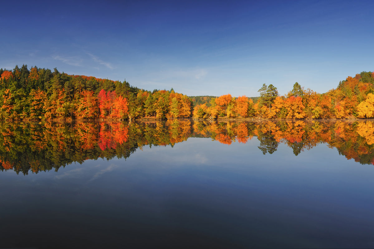 aluminium-print-autumn-ii