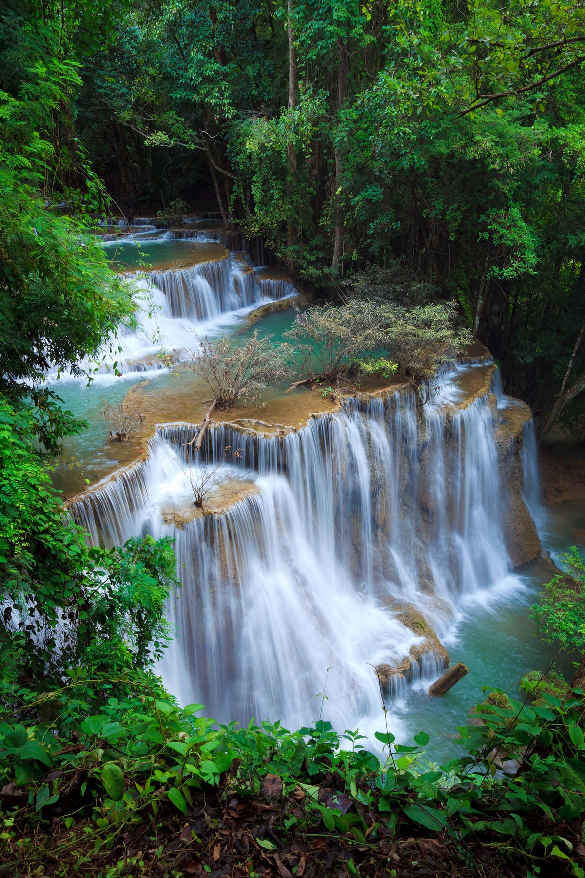 canvas-print-deep-forest-waterfall
