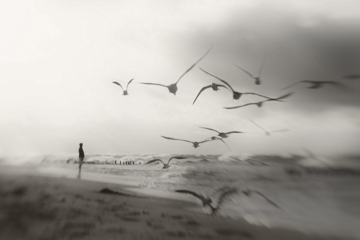 framedposter-print-quiet-dreams-x