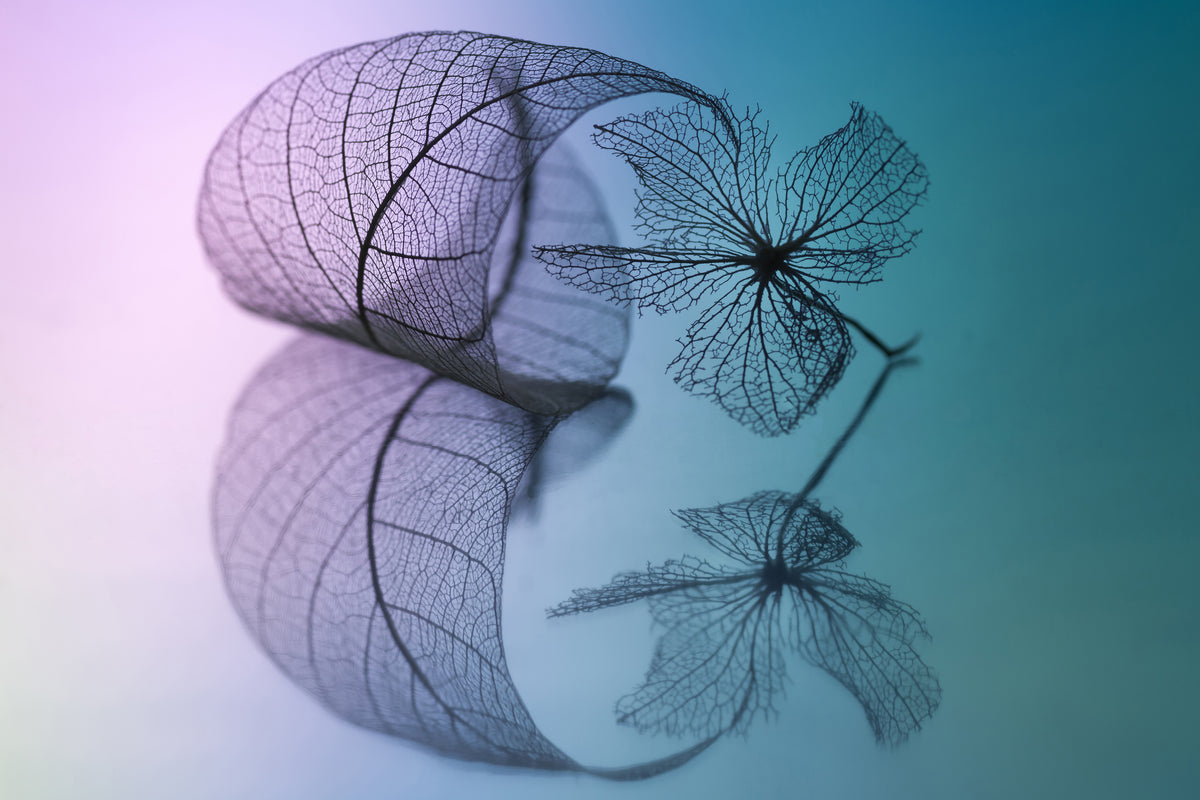 modern-3-piece-acrylic-print-story-of-leaf-and-flower