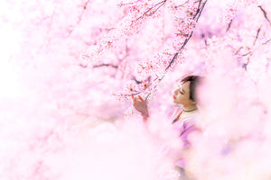 framedposter-print-sakura