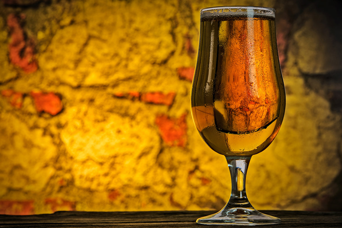 framedcanvas-print-my-favorite-beer