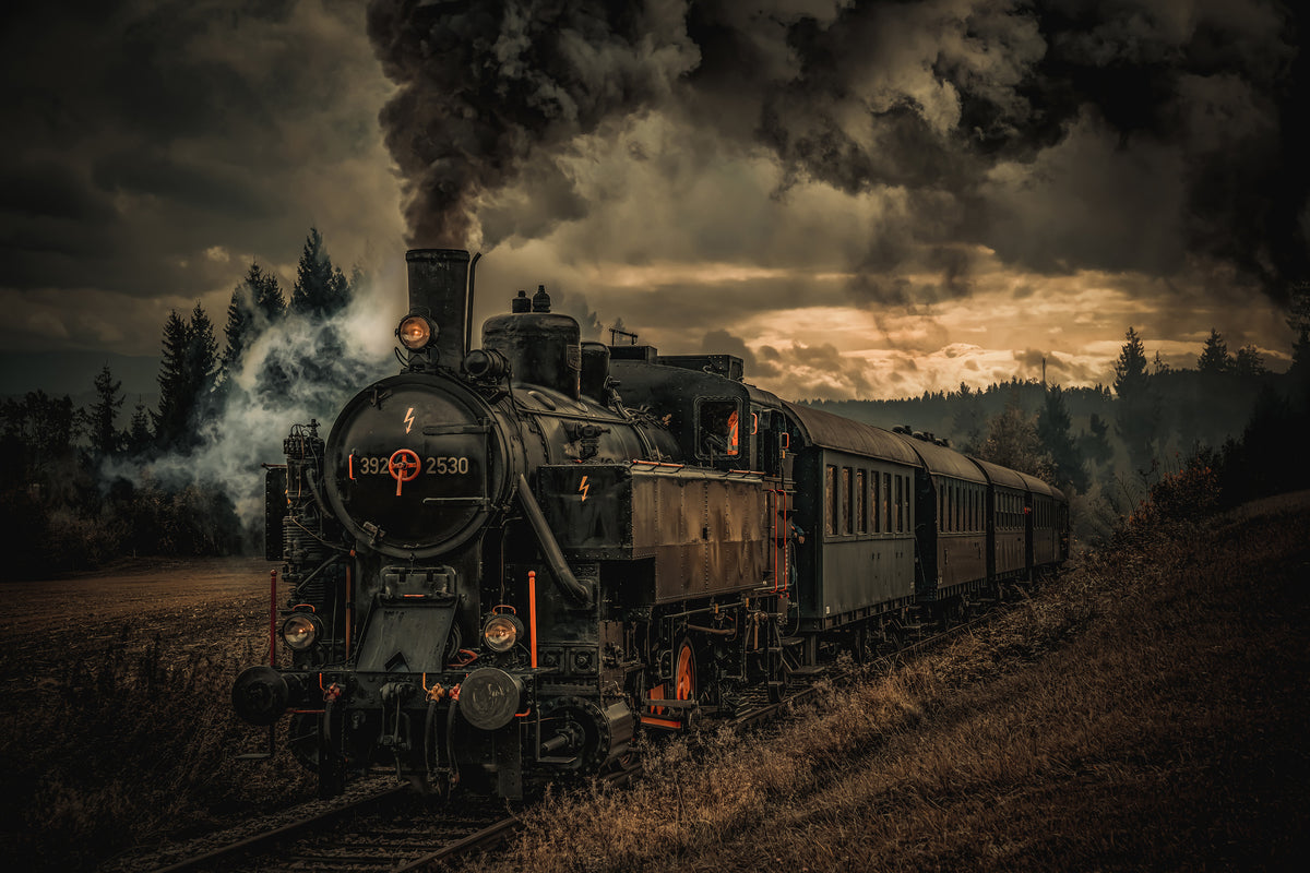 poster-print-gold-digger-train-x
