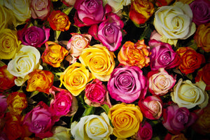 3-piece-acrylic-print-many-colorful-rose-petals