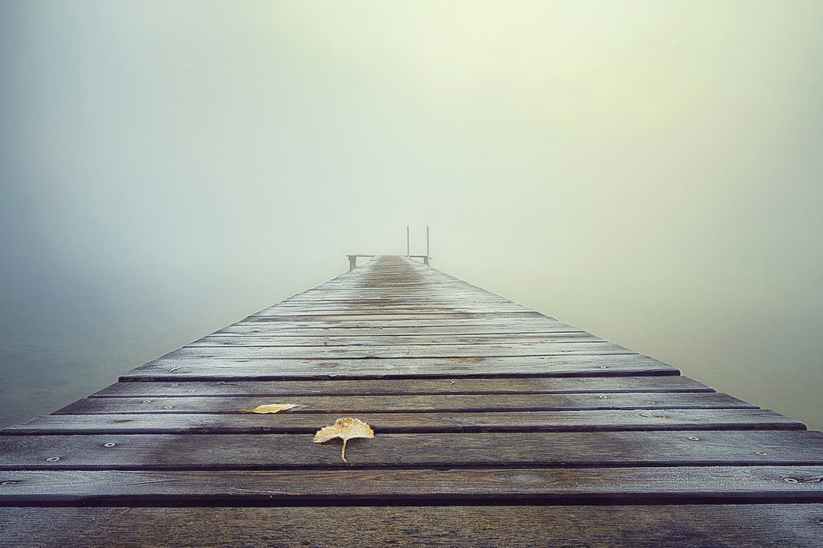 framedposter-print-cold-and-misty-morning-x