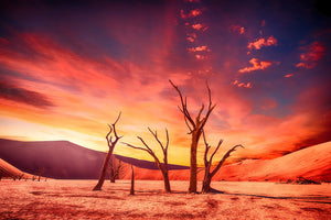 acrylic-print-colorful-desert