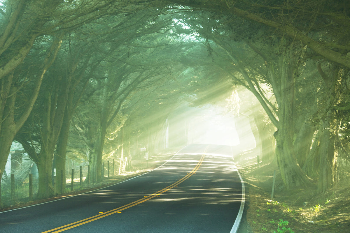 aluminium-print-the-avenue