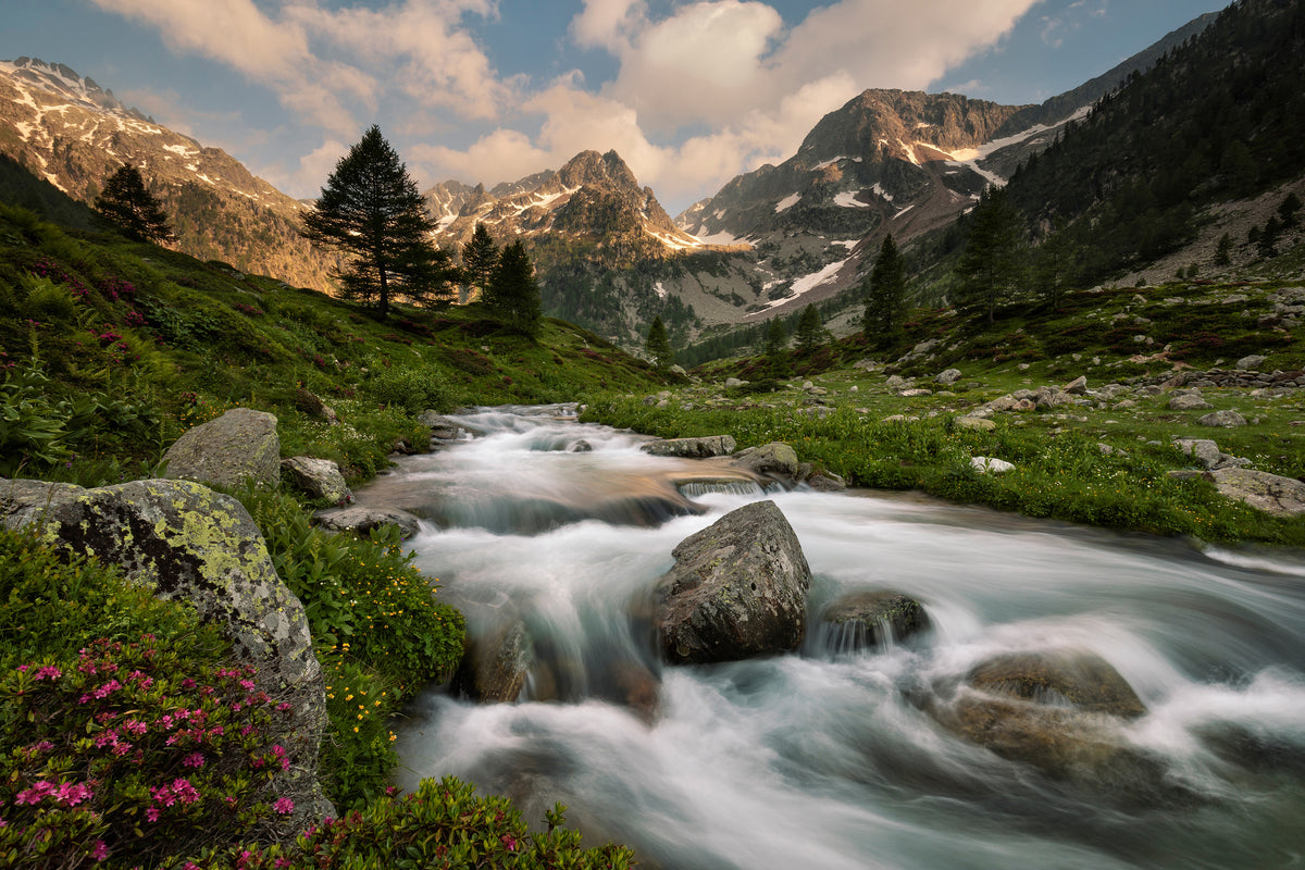 canvas-print-maritime-alps-park-x