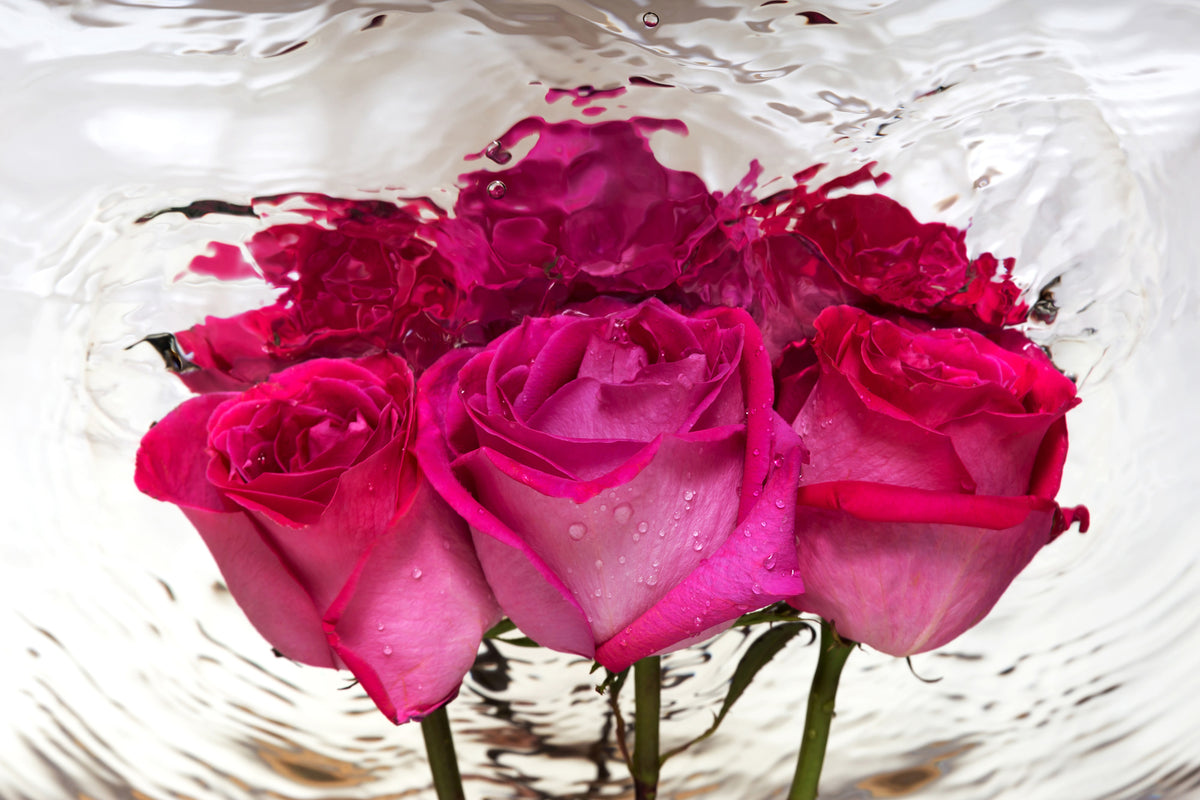3-piece-aluminium-print-the-rose-reflection
