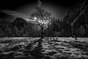 3-piece-aluminium-print-the-winter-spirit