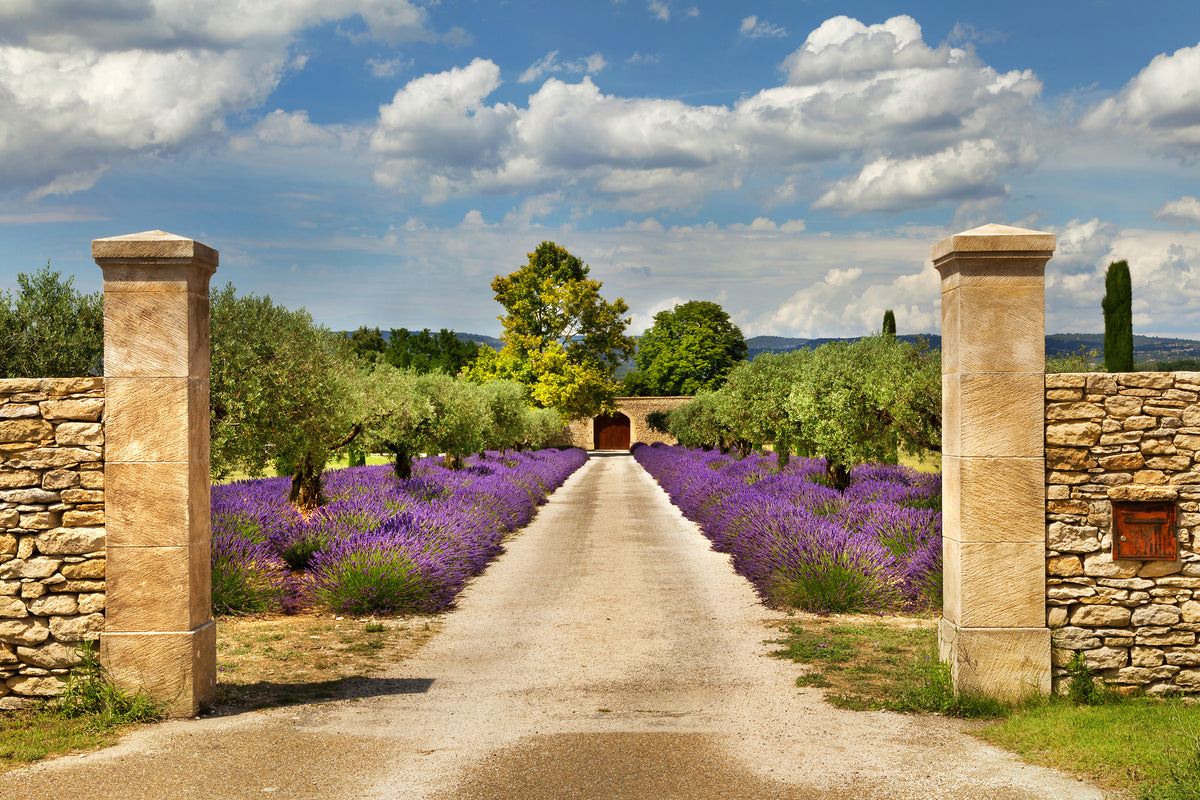 3-piece-aluminium-print-lavender-garden