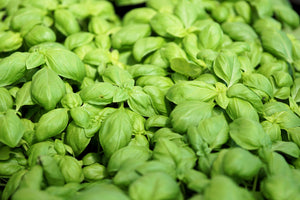 modern-3-piece-acrylic-print-all-basil