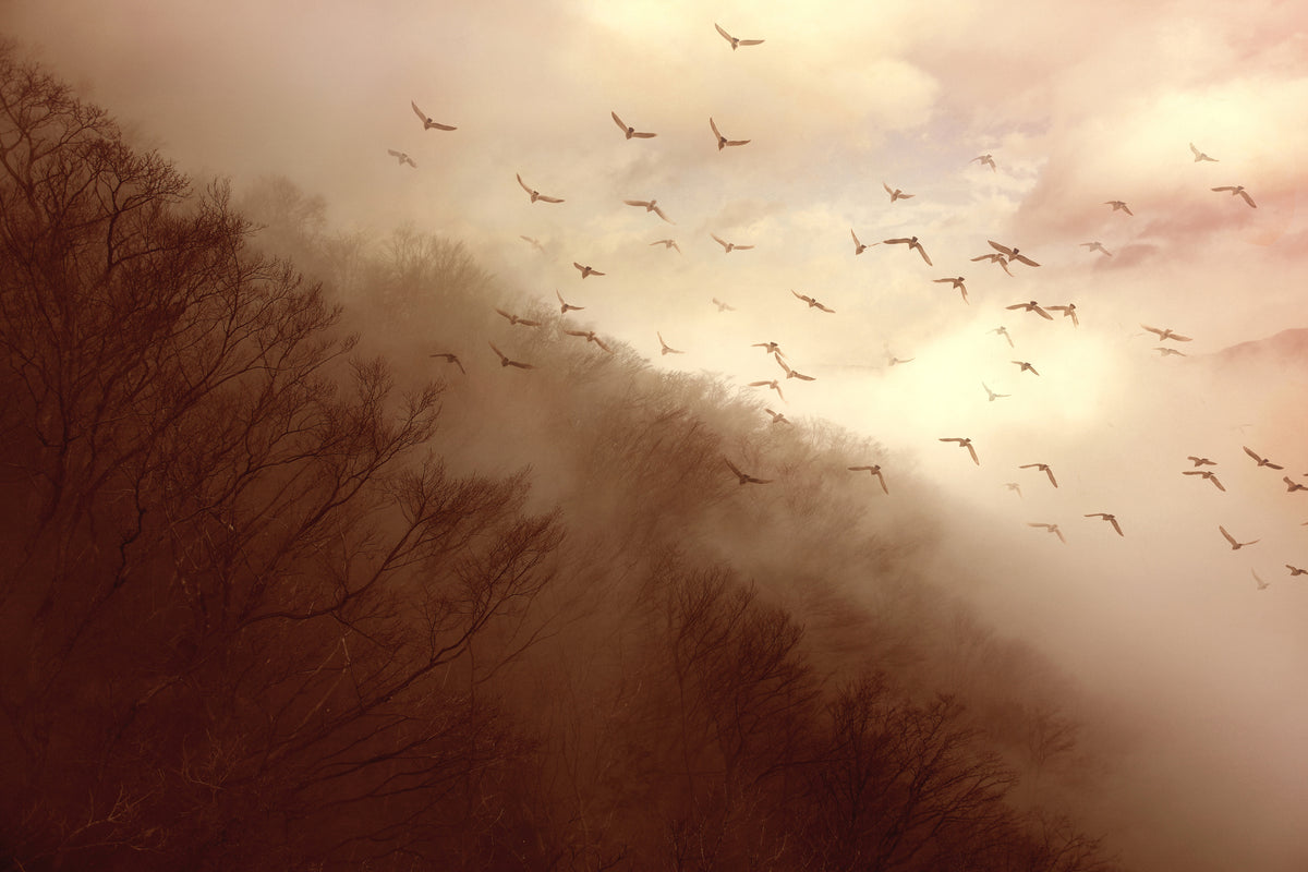 framedposter-print-departure