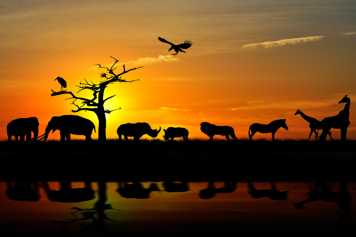 acrylic-print-safari-animals-at-sunset