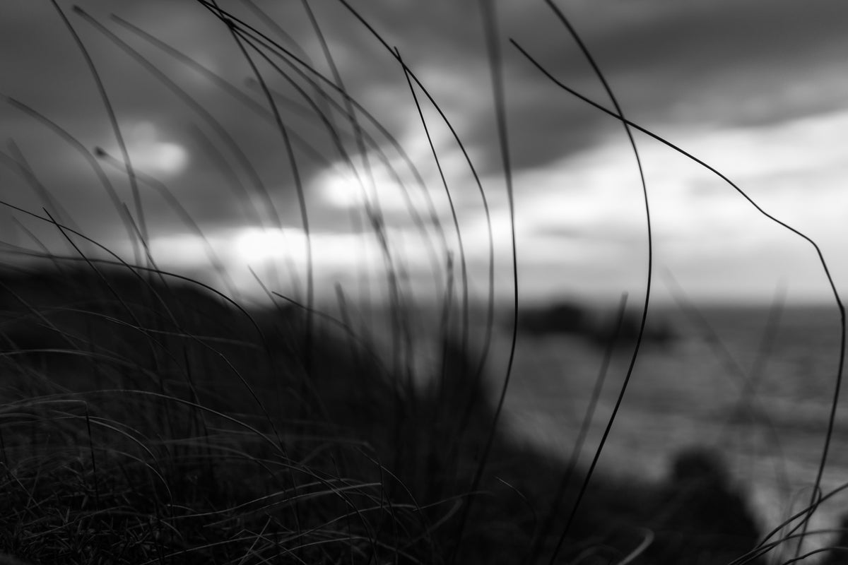 framedcanvas-print-the-wind-brings-the-night
