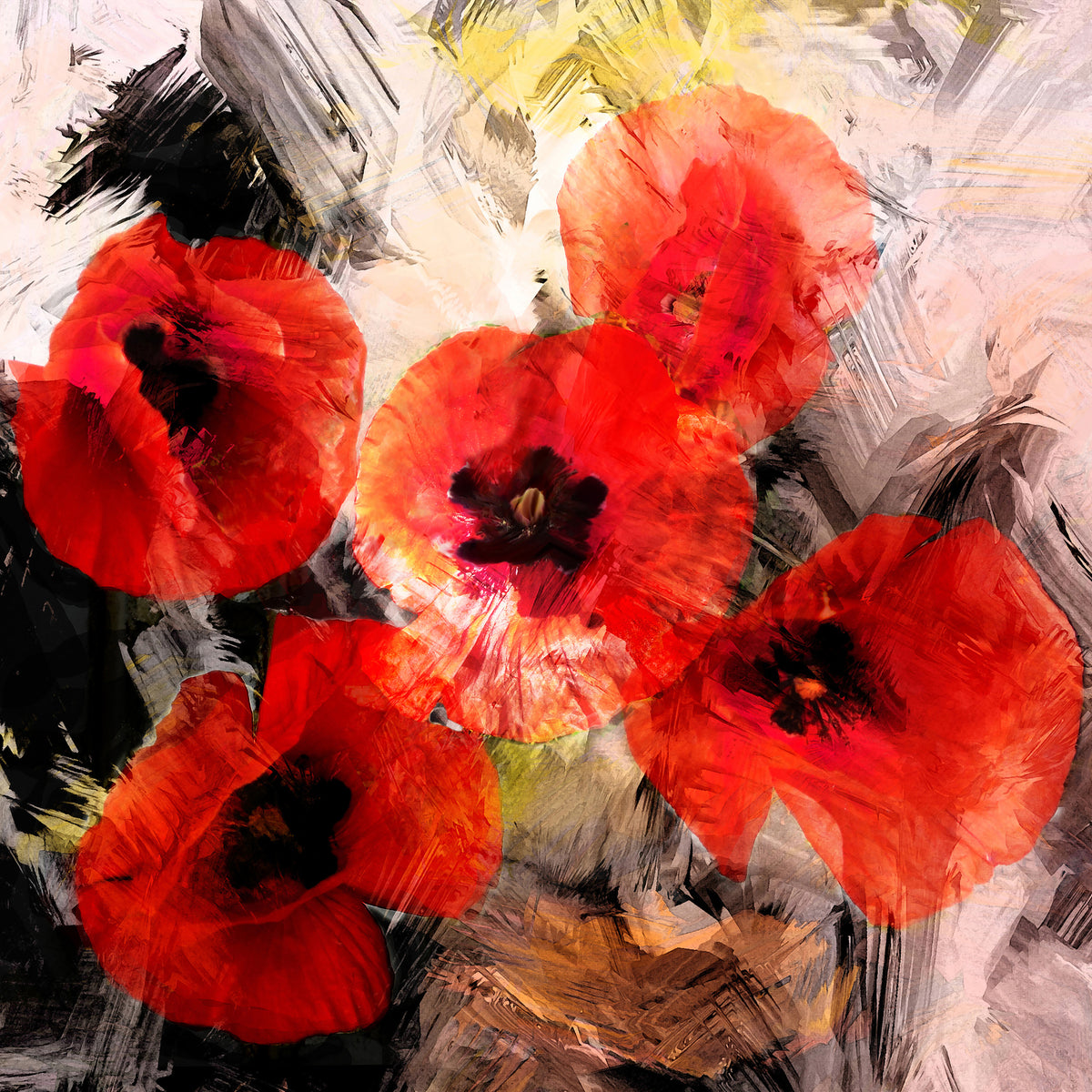 4-piece-aluminium-print-poppy-portrayal