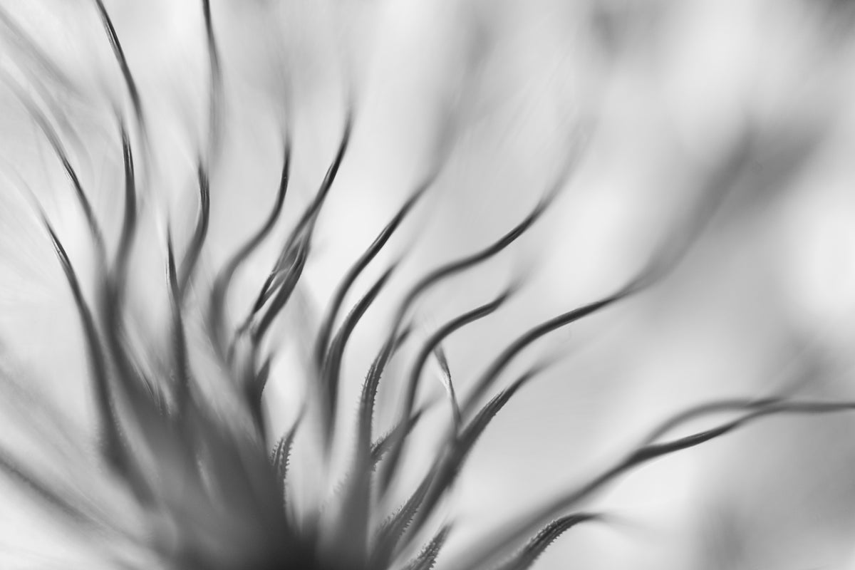 modern-3-piece-canvas-print-untitled-xvii-p