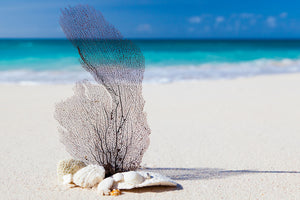 acrylic-print-beach-art