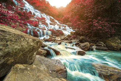 poster-print-exotic-waterfall
