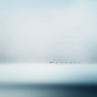 canvas-print-wild-geese
