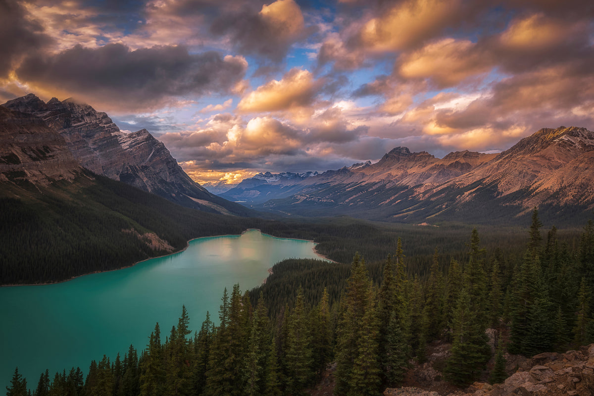 acrylic-print-peyto-lake-at-dusk