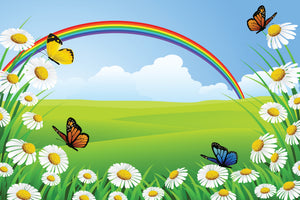 framedcanvas-print-the-colorful-rainbow