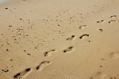 poster-print-footprints-in-the-sand