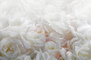 modern-3-piece-aluminium-print-white-roses-in-the-morning-dew