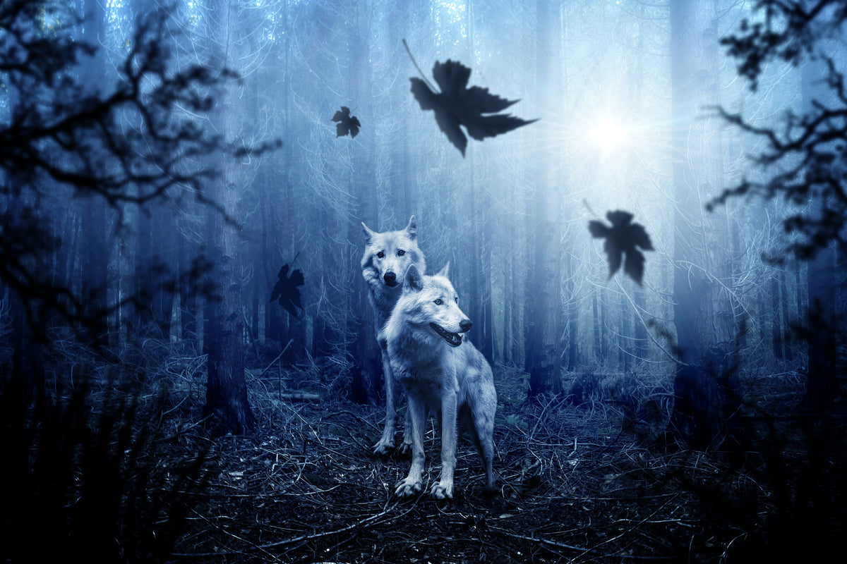 3-piece-acrylic-print-wolf39s-couple