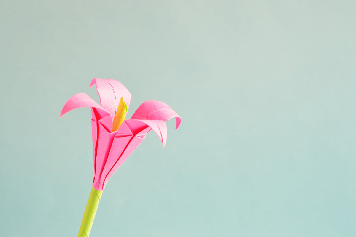 framedposter-print-flowers-origami