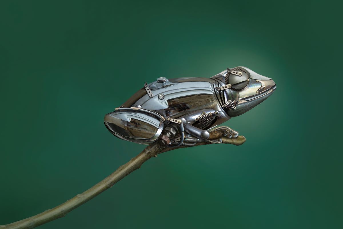 acrylic-print-frog
