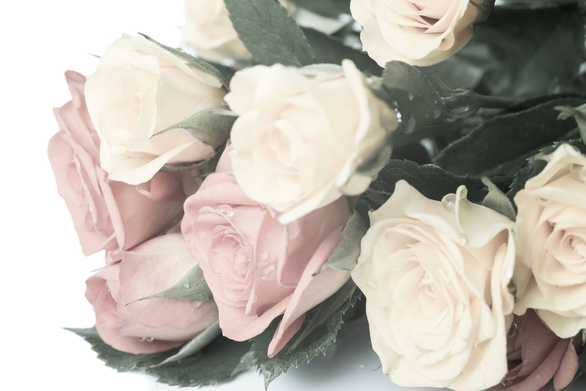 3-piece-acrylic-print-romantic-rose