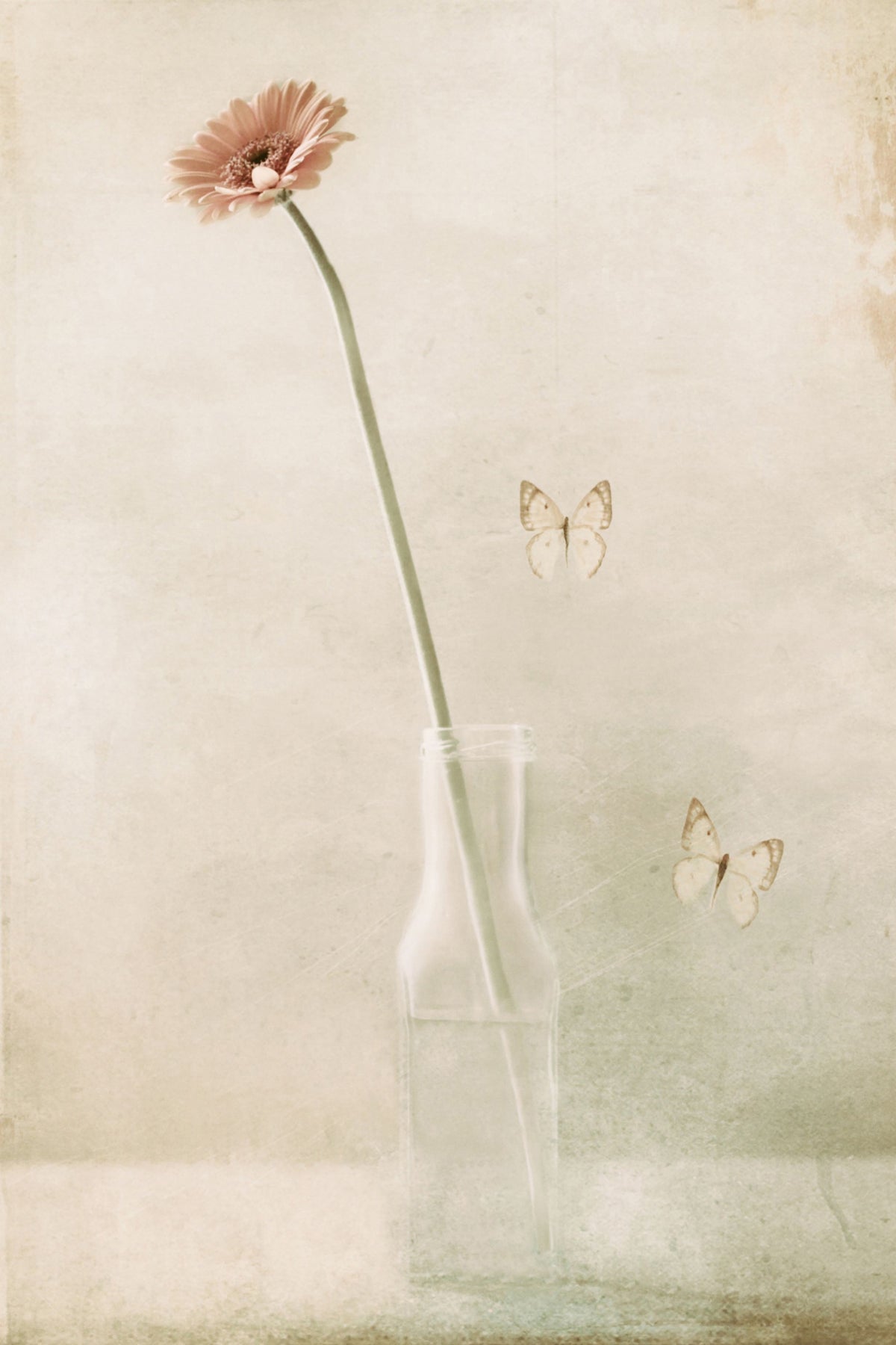 framedcanvas-print-miss-daisy