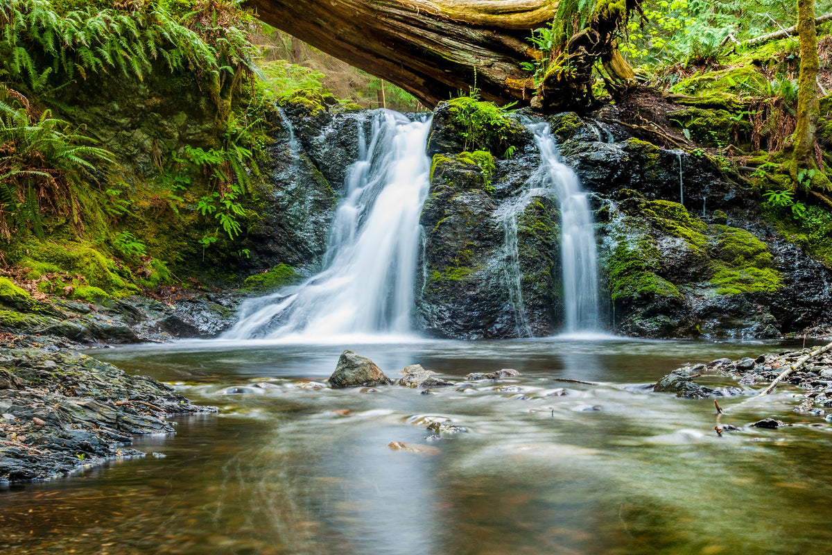 canvas-print-the-ways-of-the-water