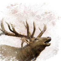 aluminium-print-elk-painting