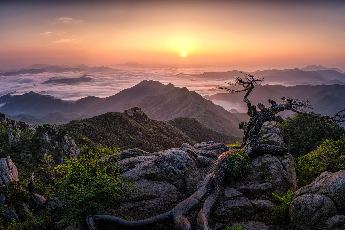aluminium-print-sunrise-on-top-x