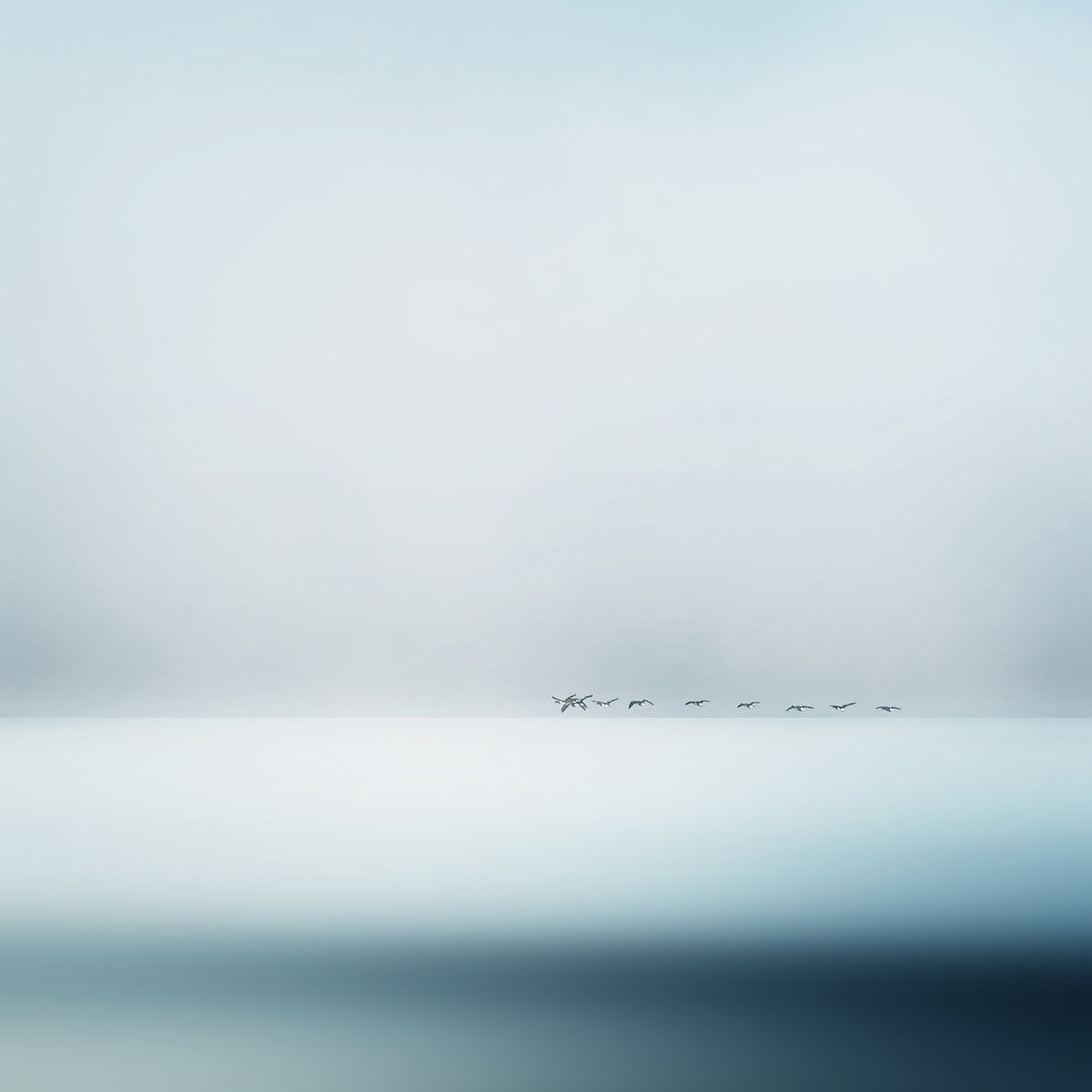 9-piece-acrylic-print-wild-geese